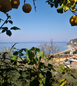 Casa Spisidda